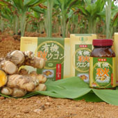 最終製品の出荷