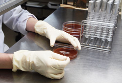 品質管理部門による厳しいチェック