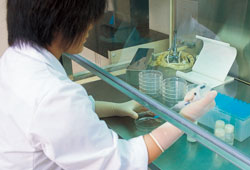 Strict Checks in the Quality Control Division