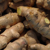 Turmeric