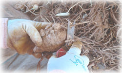 手間を惜しまない