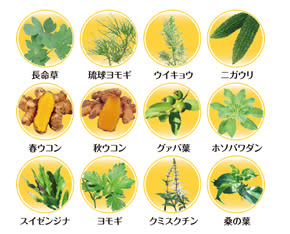 贅沢な6種類の美容サポート成分