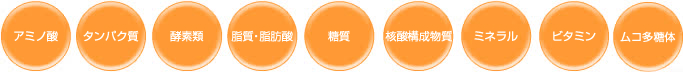 アミノ酸、タンパク質、酵素類