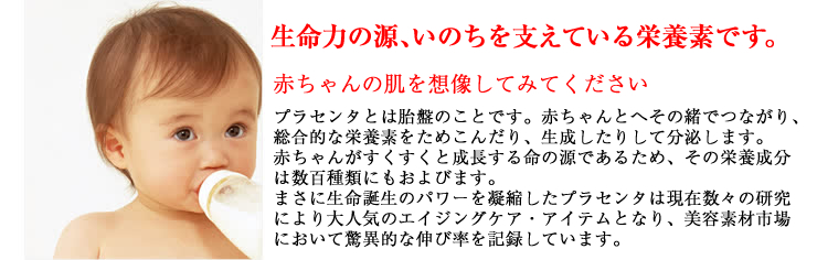 生命力の源、いのちを支えている栄養素です。